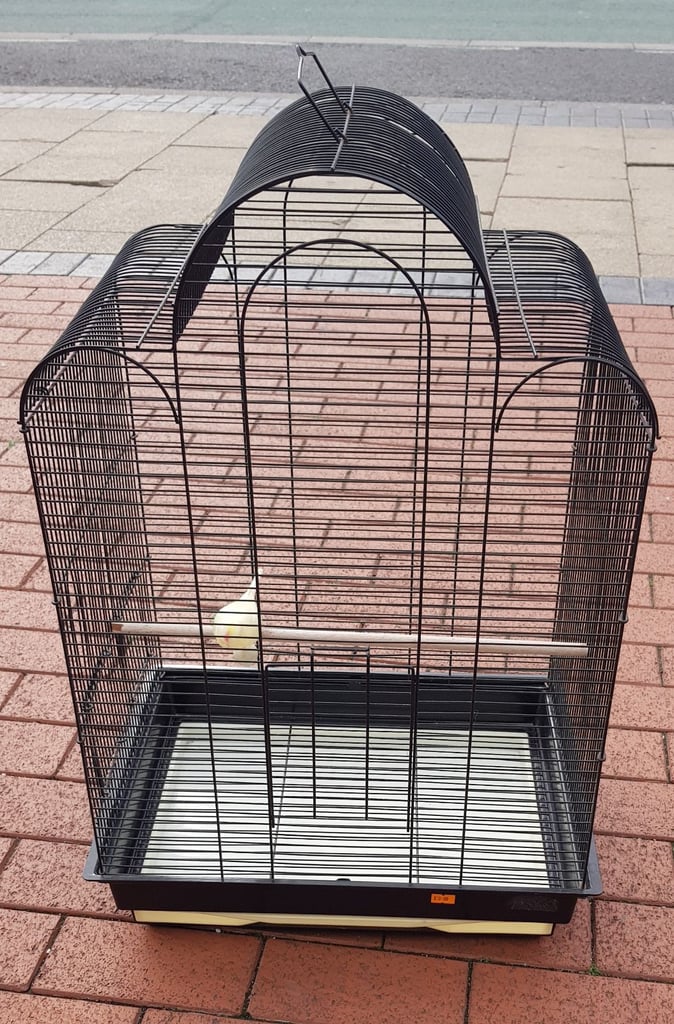 Pre-owned Black Bird Cage 