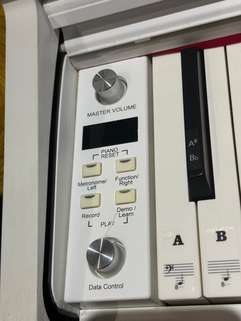 DP-10X Digital Piano