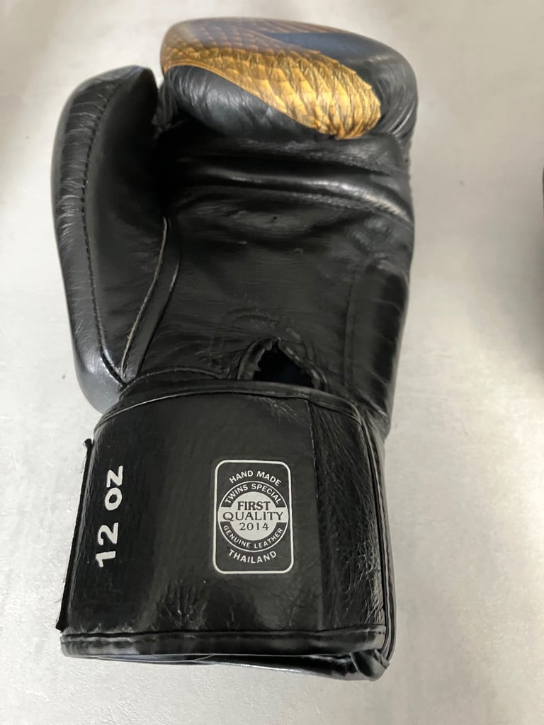Twins special 12oz boxing gloves 