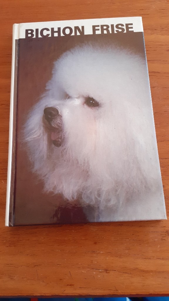 Bichon Frise by Martin Weil