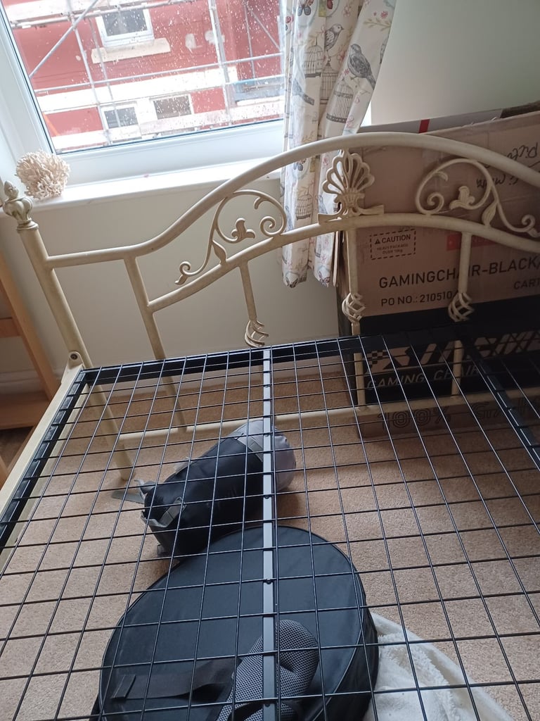 Double bed with elegant metal frame