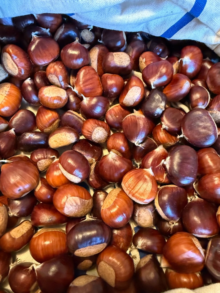 1 Kg 100% BRITISH Sweet Chestnuts for Roasting or Cooking Kent Woodland Foraged