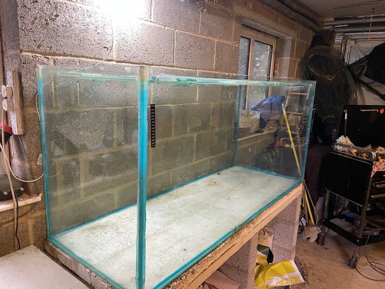 Large glass fish tank