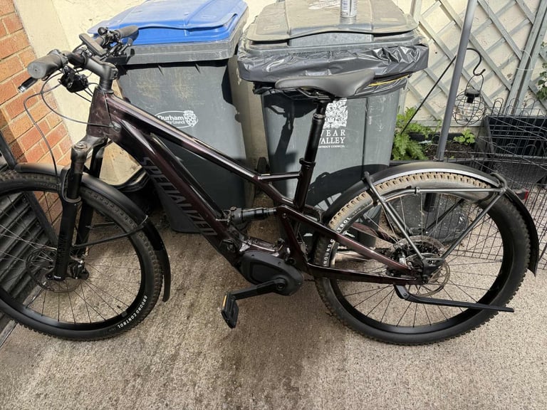Specialized electric bike
