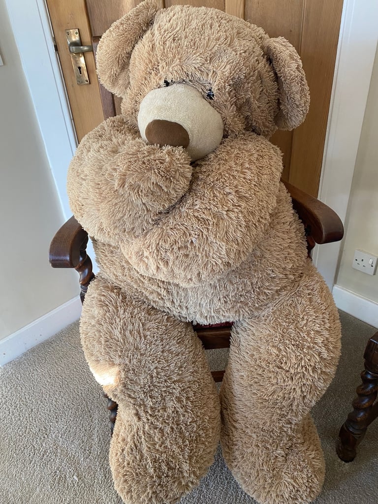 image for Cuddly Toy Bear, oversized