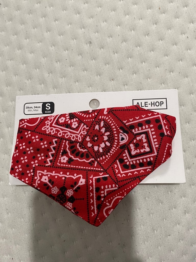 Small red dog bandana
