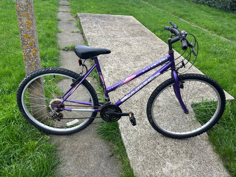 image for Mountain bike needs TLC 