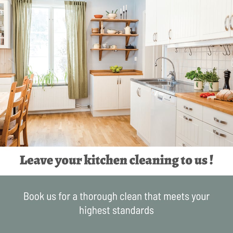 The Santana Cleaning Services avatar