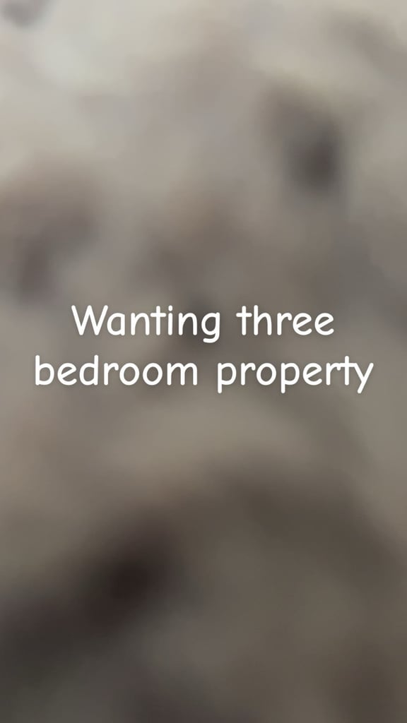 Looking for private rent