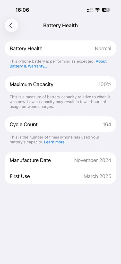 iPhone 16 Pro 512 GB Titanium Silver 100% battery 