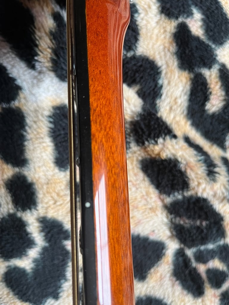 Washburn 12 string guitar D68 SWN