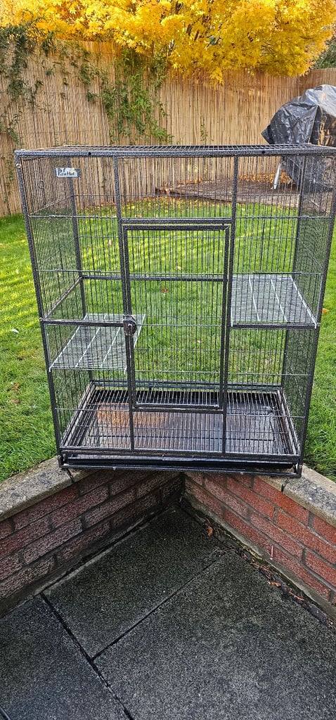 Bird Cage