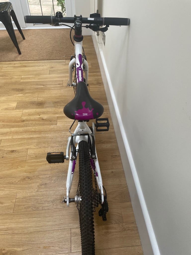 Squish 20 Inch Kids Bike Excellent Condition 