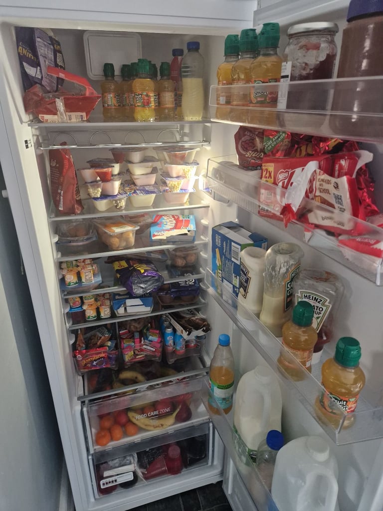 Fridge