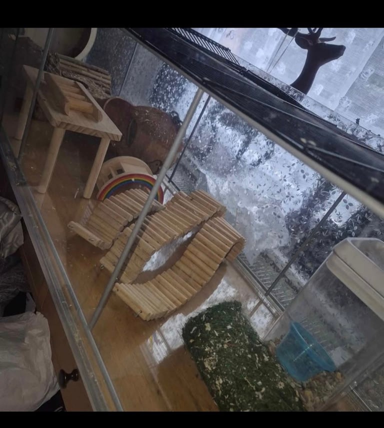 Hamster cage enclosure 
