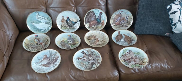 image for Gamebirds of the world.