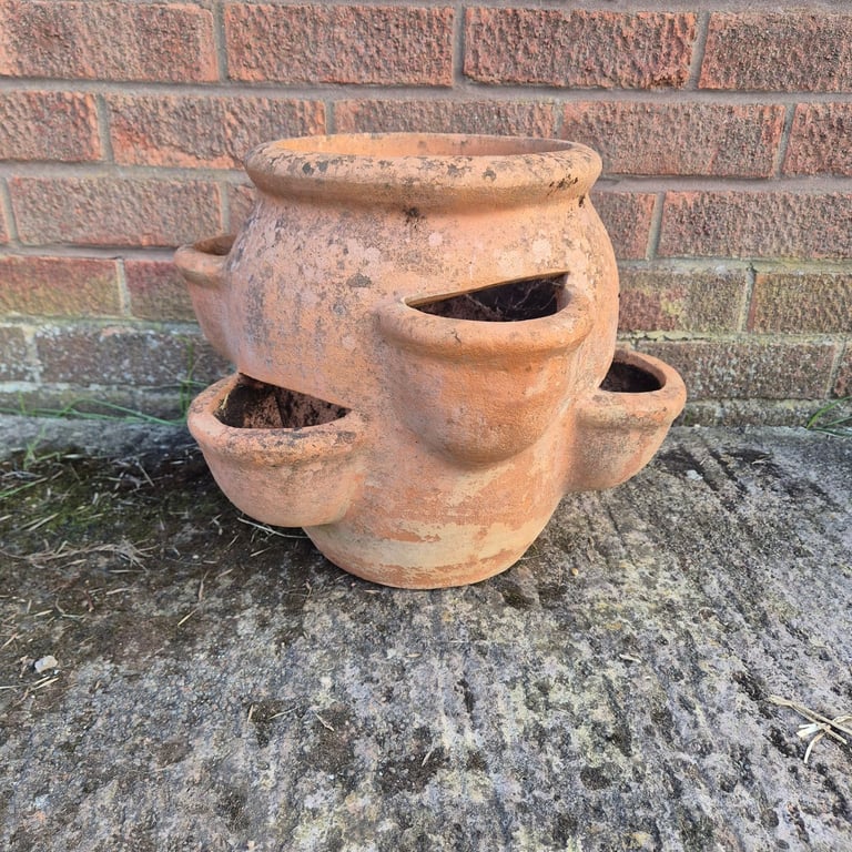image for Strawberry planter 