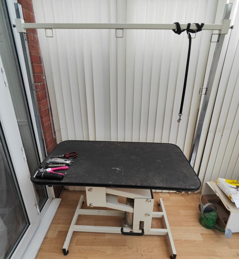 Professional Dog Grooming Table 