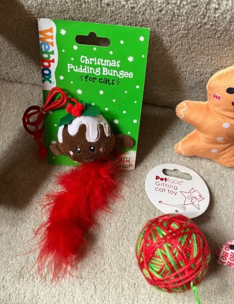 Cupid & Comet pet Christmas Blanket/Webbox bungee toys and other cat toys and teasers