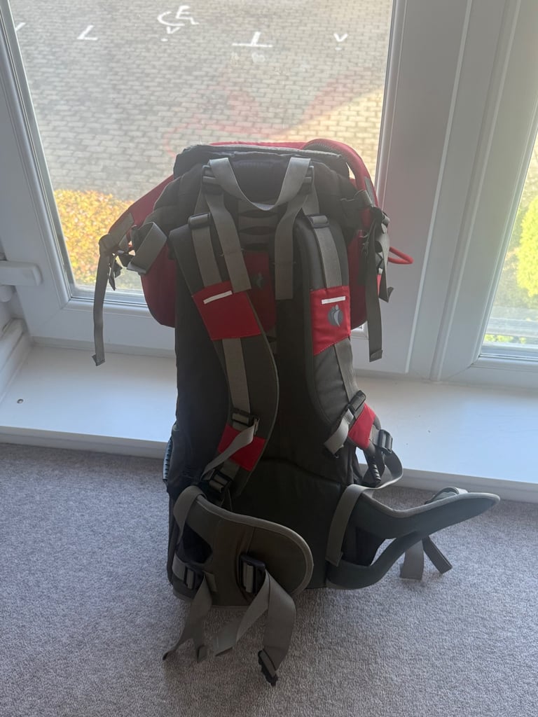 LittleLife Child Carrier with Carry Case and Sunshade