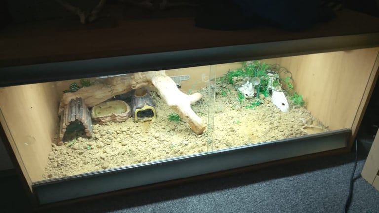 4ft vivarium 