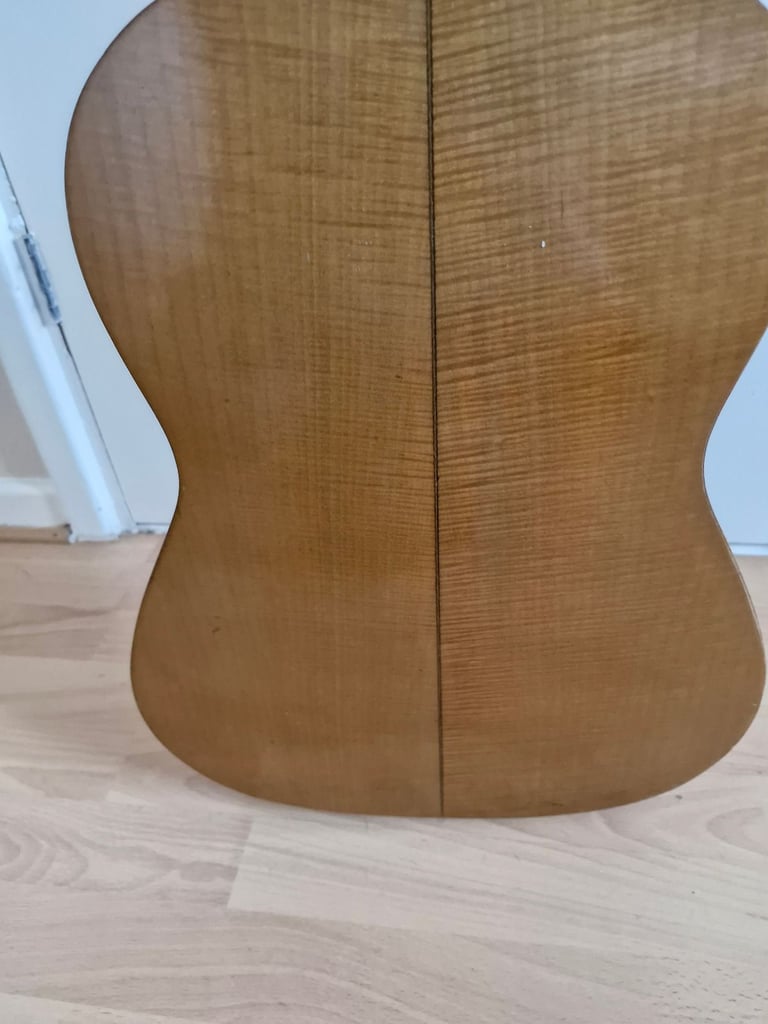 Hofner vienna guitar