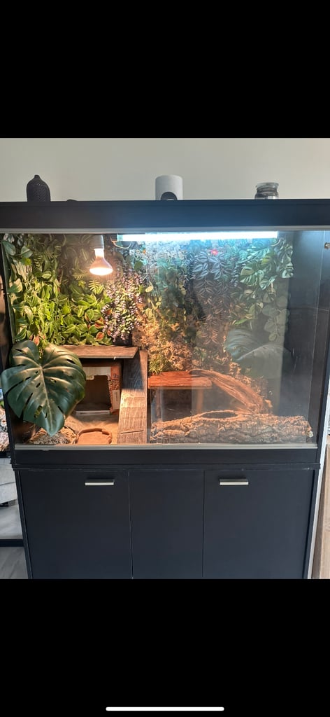 Vivarium 