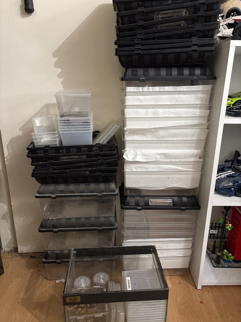 image for Free . Exo terra breeding boxes