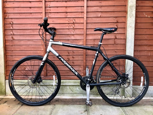 Ridgeback tempest new arrivals