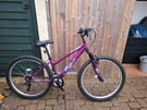 Bike Purple Jewel 