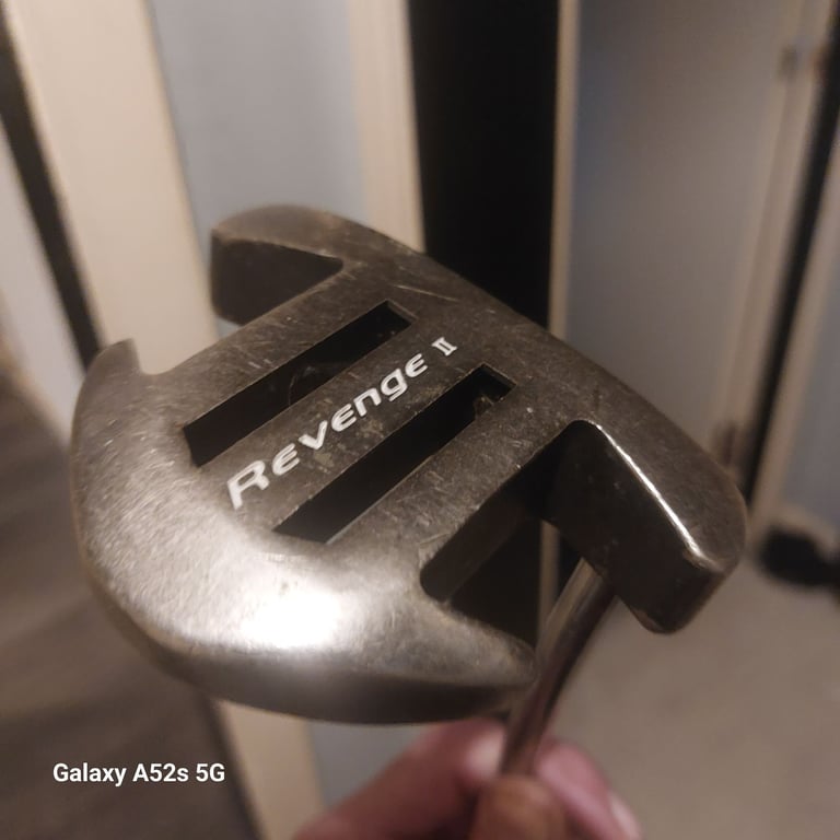 Pro putter