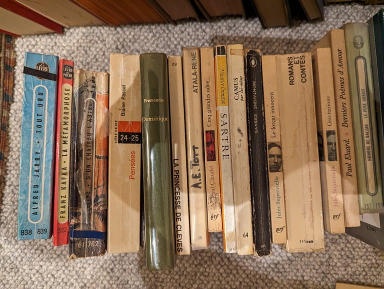 French books including dictionaries and grammars