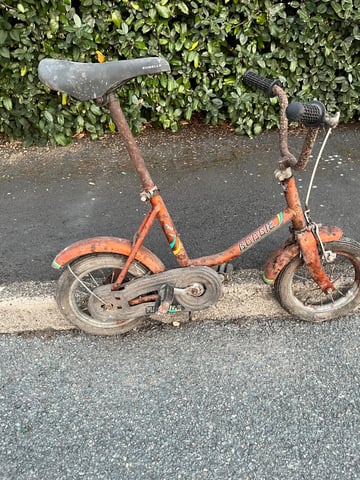 Raleigh budgie vintage rare in Norwich, Norfolk Gumtree