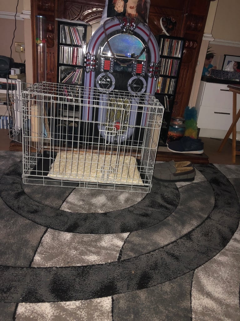 image for Brand New kitten /puppy cage 