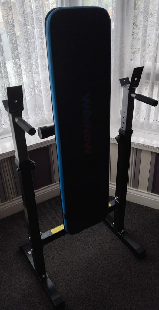 Rowing machine and weights bench