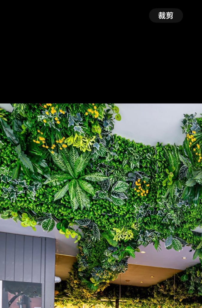 image for Artificial grass 