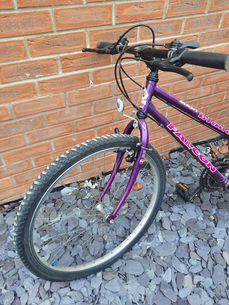 image for Adults Cycle / Bicycle 