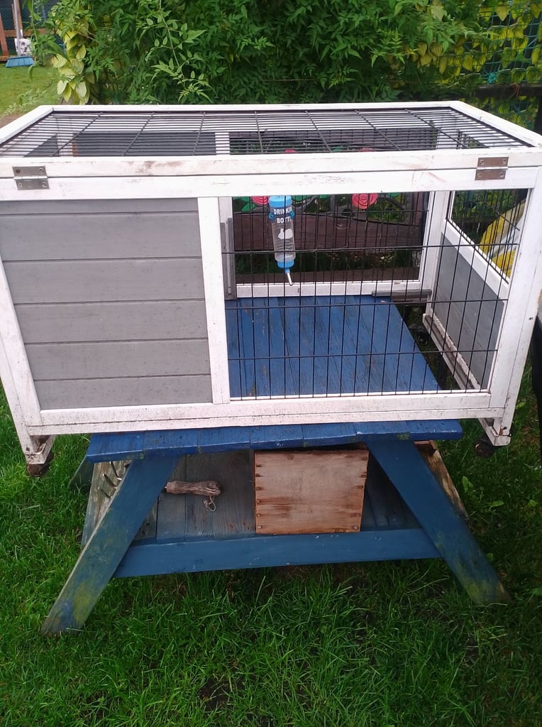 PLAY PEN FOR SMALL ANIMALS WITH REMOVABLE TRAY and wiremesh top.