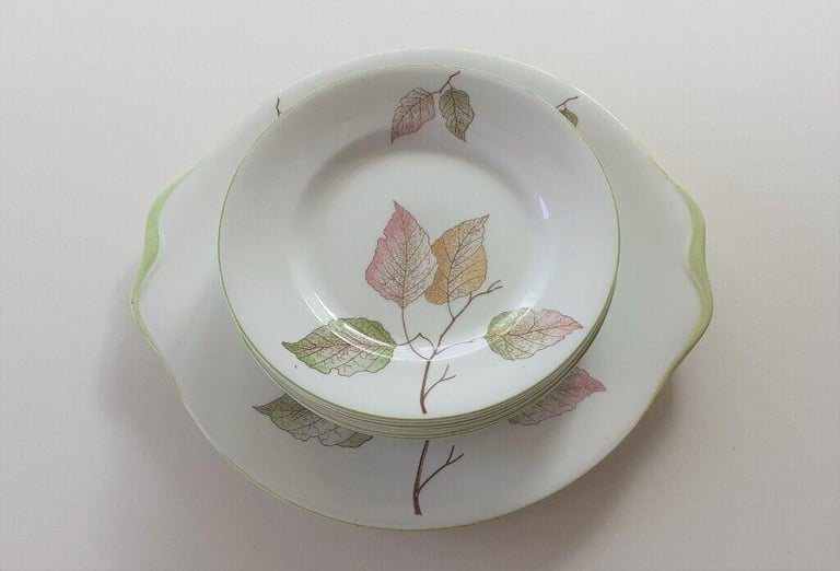 Royal Standard Fine Bone China Tea Set. Unusual pattern.