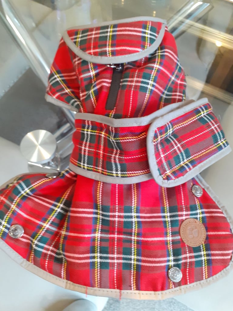 Puppy Tartan dog bed and coat £15