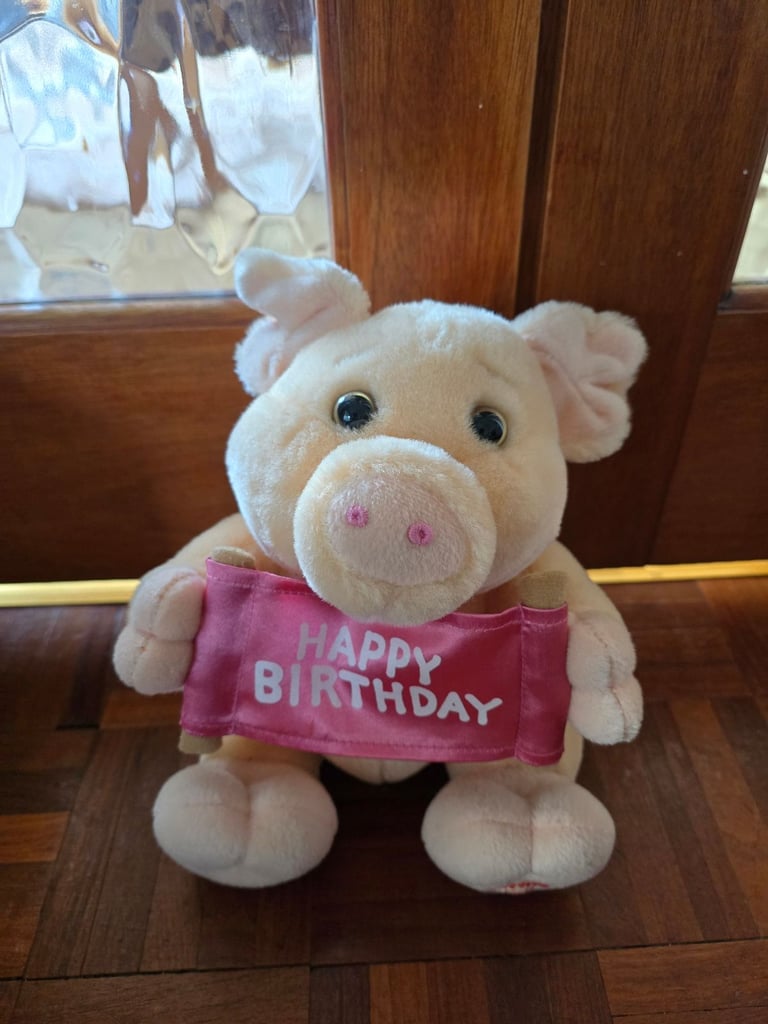 Singing musical birthday pig plush toy with box collection Salhouse 