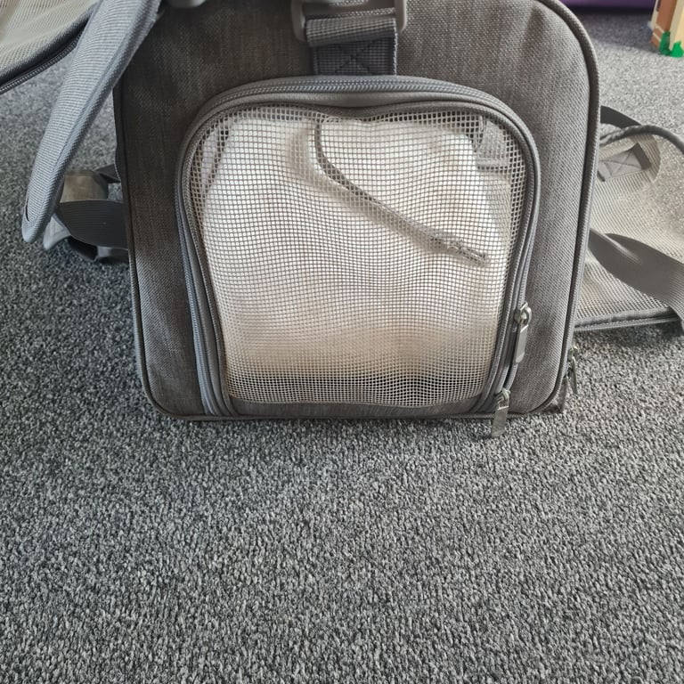 Free pet carrier 