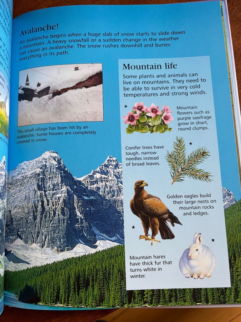 Usborne First Encyclopedia of our World 🌎