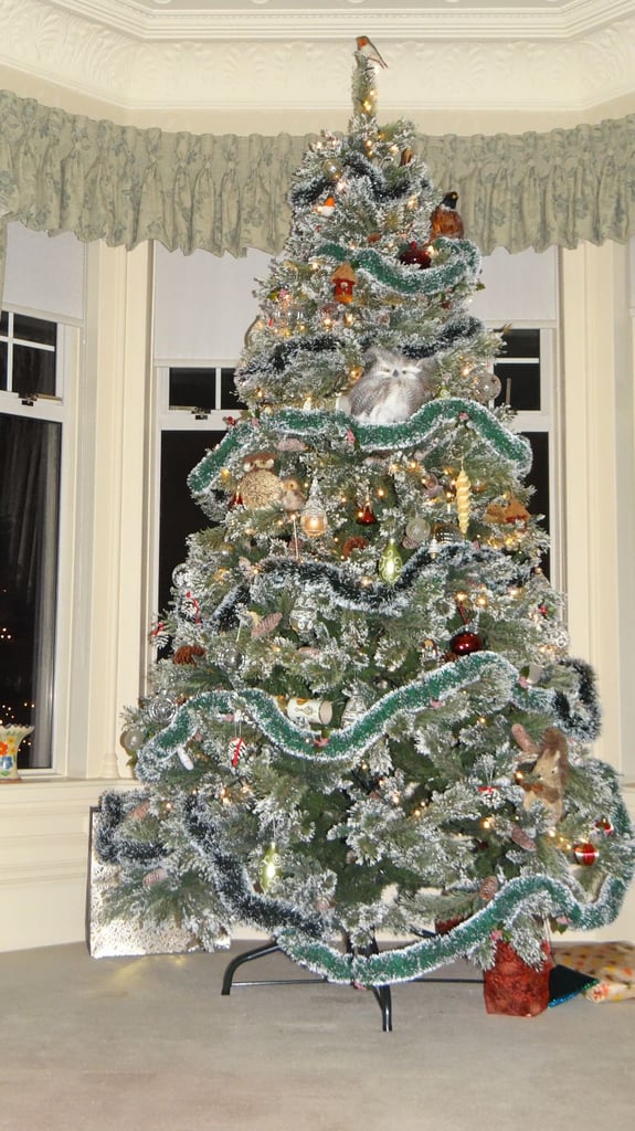 9ft / 2.7m dobbies Ulswater artificial Christmas tree and heavy duty click fix christmas tree base