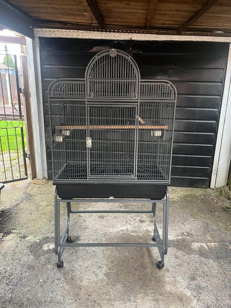 image for Bird cage 