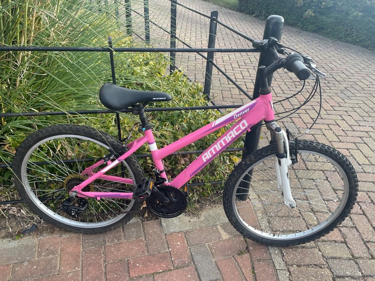 Junior mountain bike