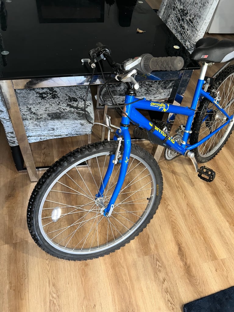 £80 bike 26 inch wheels fully working order 