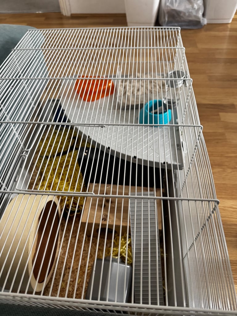 Complete Syrian Hamster Set 