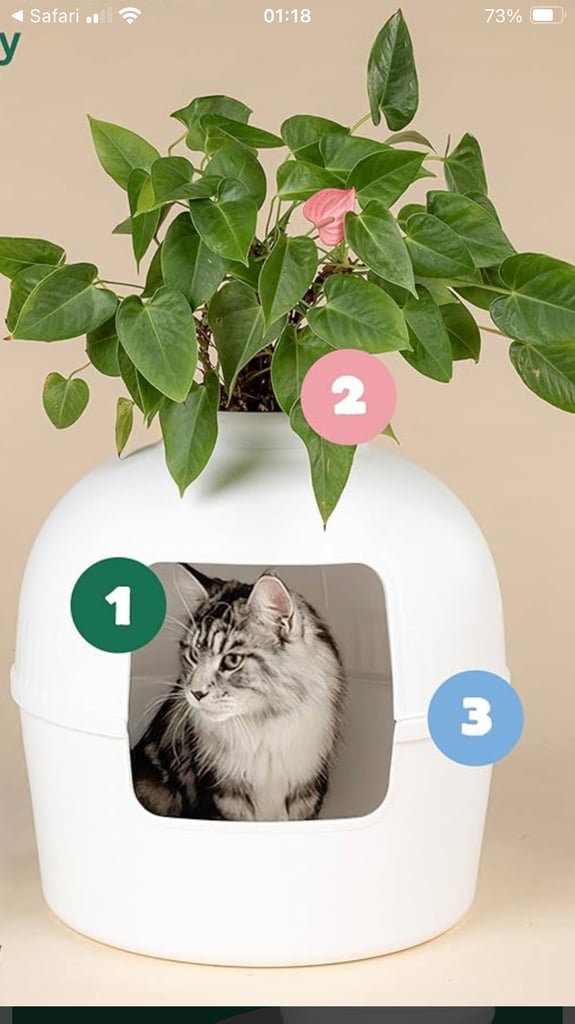 BARGAIN BRAND NEW CAT LITTER TRAY PLANTER, £20 🚚 Delivered