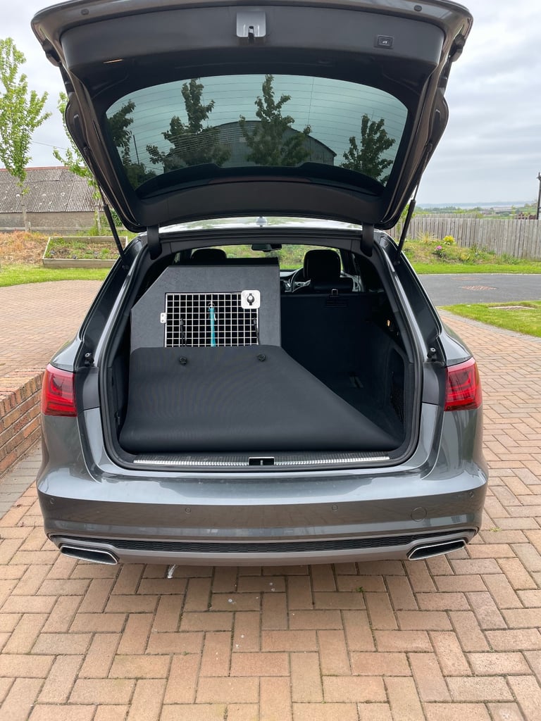 DT2 dog travel crate